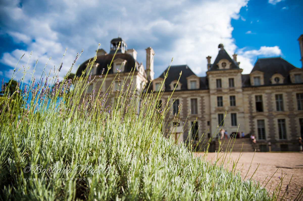 Il castello di Cheverny • Barbara Mapelli